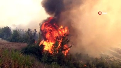 hava sicakliklari -  Manavgat’ta alevler yeniden metrelerce yükseldi, ekipler havadan karadan müdahale etti
-Yangına müdahale eden... Videosu