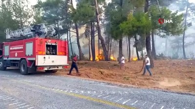 turist -  Milas'ta başlayan orman yangını Bodrum'a sıçradı söndürme çalışmaları devam ediyor Videosu