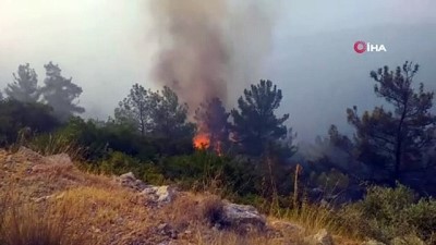  Muğla’da yangın bölgelerinde çalışmalar devam ediyor