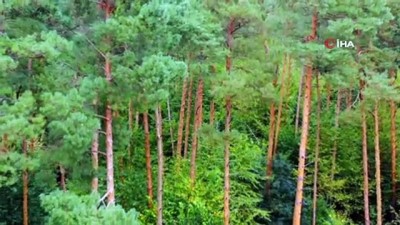 farkindalik -  Orman Genel Müdürlüğü’nden farkındalık paylaşımı Videosu