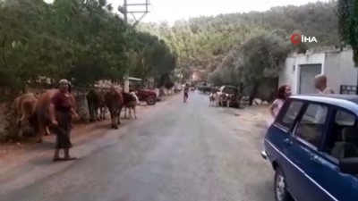 mahser gunu -  Yangın yerleşim eyerlerine ulaştı, Gökbel köyü boşaltıldı Videosu