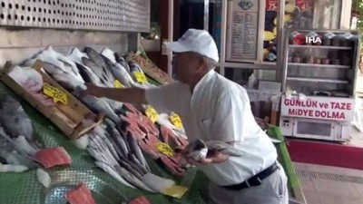 alamut -  Balıkçılar Müsilaj sonrası yeni sezondan umutlu Videosu