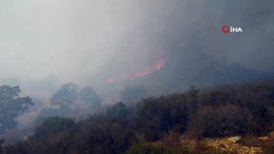 makilik alan -  Bodrum’da makilik yangını Videosu