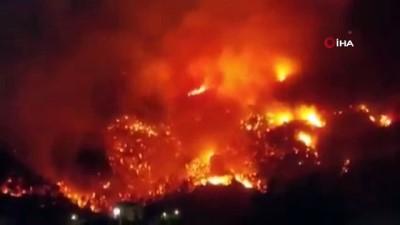  - Cezayir'de 31 noktada orman yangını çıktı: 4 ölü, 3 yaralı