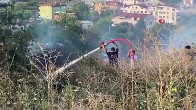 jandarma -  Kocaeli’de ağaçlık alan alevlere teslim oldu Videosu