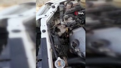yavru kedi -  Otomobilin motor kısmına sıkışan kediyi itfaiye kurtardı Videosu