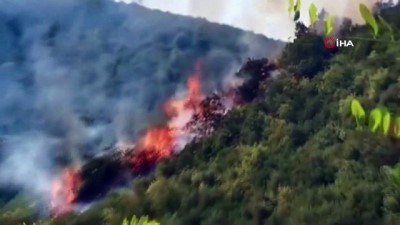 ormanlik alanda yangin -  Sarıyer'de ormanlık alanda yangın çıktı. Bölgeye itfaiye ekipleri sevk edildi Videosu