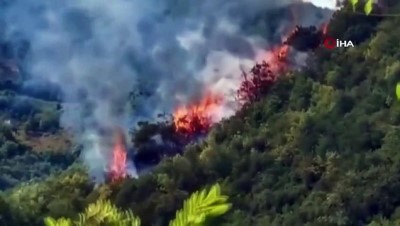 ormanlik alanda yangin -  - Sarıyer'de ormanlık alanda yangın çıktı. Bölgeye itfaiye ekipleri sevk edildi Videosu