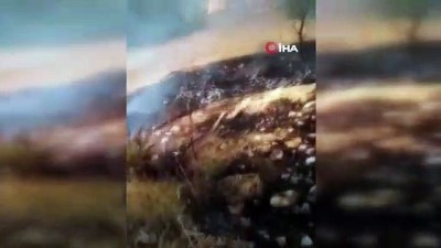 ormanlik alanda yangin -  Seydikemer’de orman yangını Videosu
