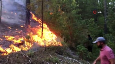 helikopter -  Bucak'ta yangının ilerleyişi devam ediyor Videosu
