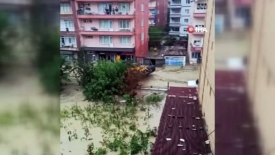 sel -  Sinop'ta sağanak sele neden oldu Videosu