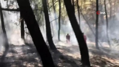  Yangın ormancıların erken müdahalesi ile söndürüldü