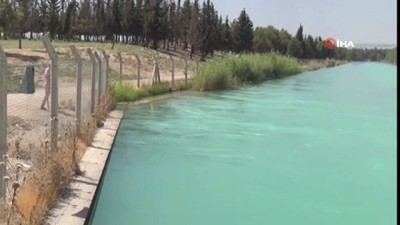 sulama kanali -  Su alırken kanala düşen çiftçi hayatını kaybetti Videosu