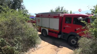 acil servis -  Orhangazi'de orman yangını büyümeden söndürüldü Videosu