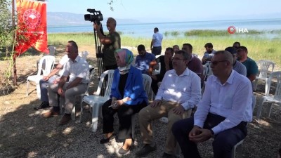 avcilik -  - Bursa’da göl ve göletlere 1 milyon 756 bin adet yavru sazan balığı bırakıldı Videosu