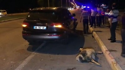 tahkikat -  Erzincan’da otomobil sürüye daldı: 25 koyun telef oldu Videosu