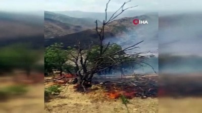 ormanli -  Şemdinli’de orman yangını Videosu