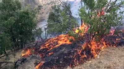  Şemdinli’deki yangın korkutuyor