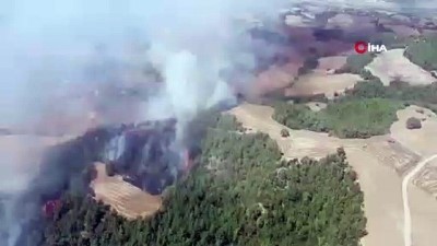 aniz yangini -  Adana’da anız yangını ormana sıçradı Videosu