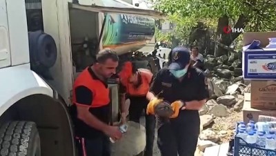 jandarma -  Antalya’da yangın söndürme çalışmasına destek veren ekipler, yaralı kaplumbağanın hayatını kurtardı Videosu