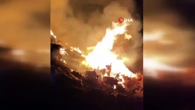  Bursa’da korkutan çalılık yangını
