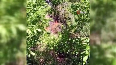 orman yangini -  Elazığ’da çıkan orman yangını kısa sürede söndürüldü Videosu