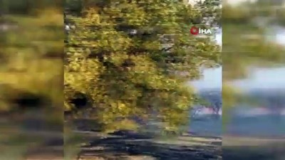  Kavaklıdere yangını sürüyor