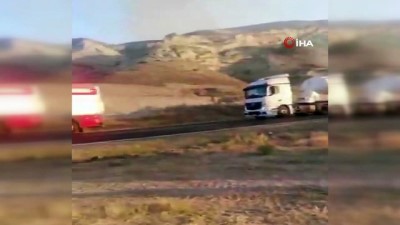  Nallıhan Kuş Cenneti'nde Ormanlık alanda yangın