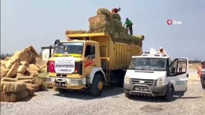 fedakarlik -  Nazilli’den toplanan yardımlar Manavgat’a ulaştı Videosu