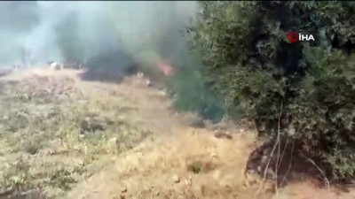 ormana -  Ormanın yakınındaki tarım arazisinde çıkan yangın korkuttu Videosu