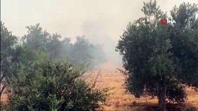 yangina mudahale -  Seydikemer yangını yeniden başladı Videosu