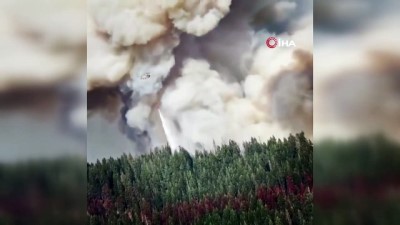bild -  - California'nın en büyük ikinci yangını 705 bin dönümlük alanı küle çevirdi Videosu