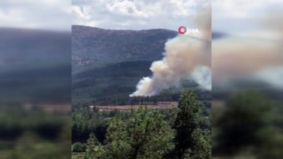 ormanlik alanda yangin -  Denizli’de orman yangını büyümeden söndürüldü Videosu