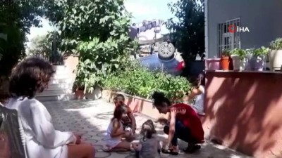 a haber -  Edirne'de otomobil bahçeye daldı, faciayı ağaç önledi Videosu