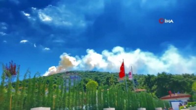 ormanlik alanda yangin -  Heybeliada’da orman yangını Videosu