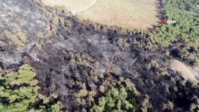 helikopter -  Heybeliada’da yangının bıraktığı hasar görüntülendi Videosu