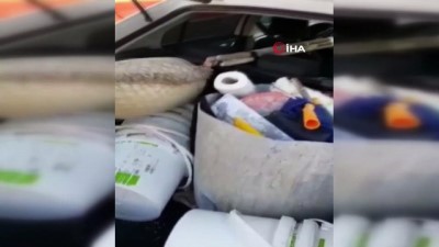 akalan -  Otomobilin bagajında 11 kilo 450 gram uyuşturucu yakalandı Videosu