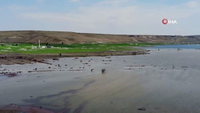 pelikan -  Kars’ta baraj gölü su kuşlarını ağırlıyor Videosu
