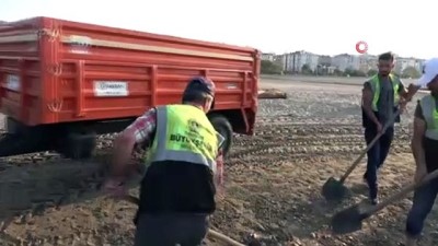 felaket -  Sinop'taki sel felaketinde denize sürüklenen tomruklar Samsun sahillerinde...200 kilometre sürüklendiler Videosu