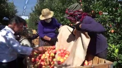 lyon -  Türkiye’nin elma deposu Karaman’da 55 gün sürecek olan elma hasadı başladı Videosu