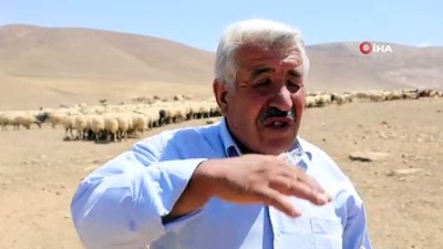 tarim -  Yaylaya suyun ulaşmasını halaylarla karşıladılar Videosu