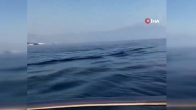 balikci teknesi -  Akdeniz'de yunuslardan görsel şölen Videosu