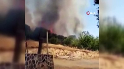 orman yangini -  Orman yangınında yaşanan paniği böyle kaydettiler Videosu