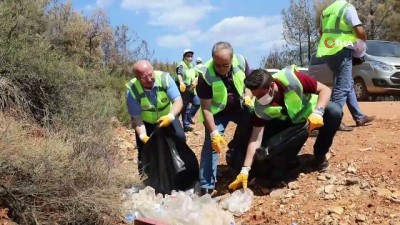 belediye baskani -  Yanan sahalardaki çamlar toplandı Videosu