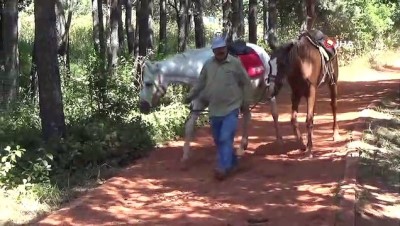 doluluk orani -  Abant Tabiat Parkı yaz sezonunu yüzde 90 dolulukla geçiriyor Videosu