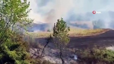 helikopter -  Ayçiçeği tarlasındaki yangın ormanlık alana sıçradı Videosu
