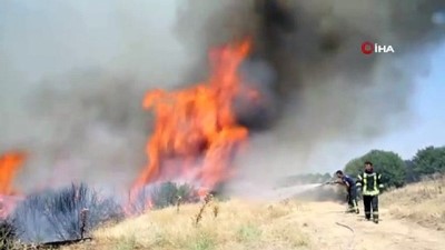 orman yangini -  Kula'da koyun sürüsü kontrol altına alınan yangından böyle kaçtı Videosu