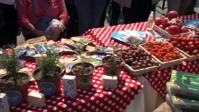 yagli gures -  Silivri’deki festivale davet için Eminönü’de er meydanı kuruldu Videosu