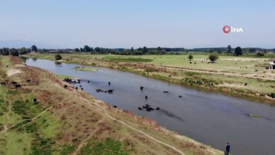  Afrika belgesellerini aratmayan görüntüler