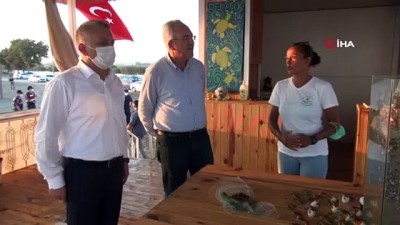 sivil toplum -  Deniz kaplumbağaları Vali Yazıcı’nın elleriyle denizle buluştu Videosu